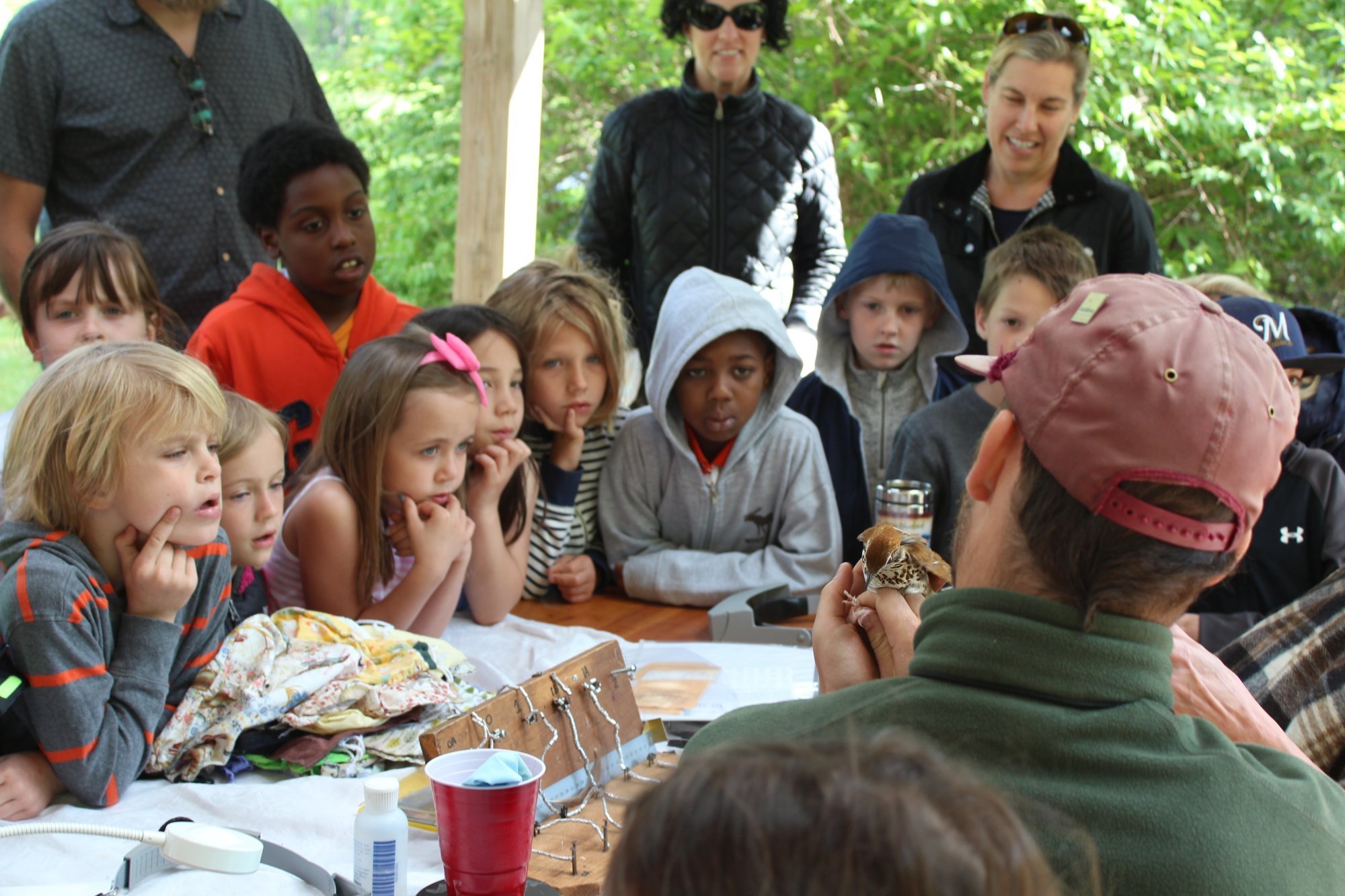 Elementary-students-observing-banding-of-a-Wood-Thrush.-Photo-by-Kelsey-Lingle.JPG