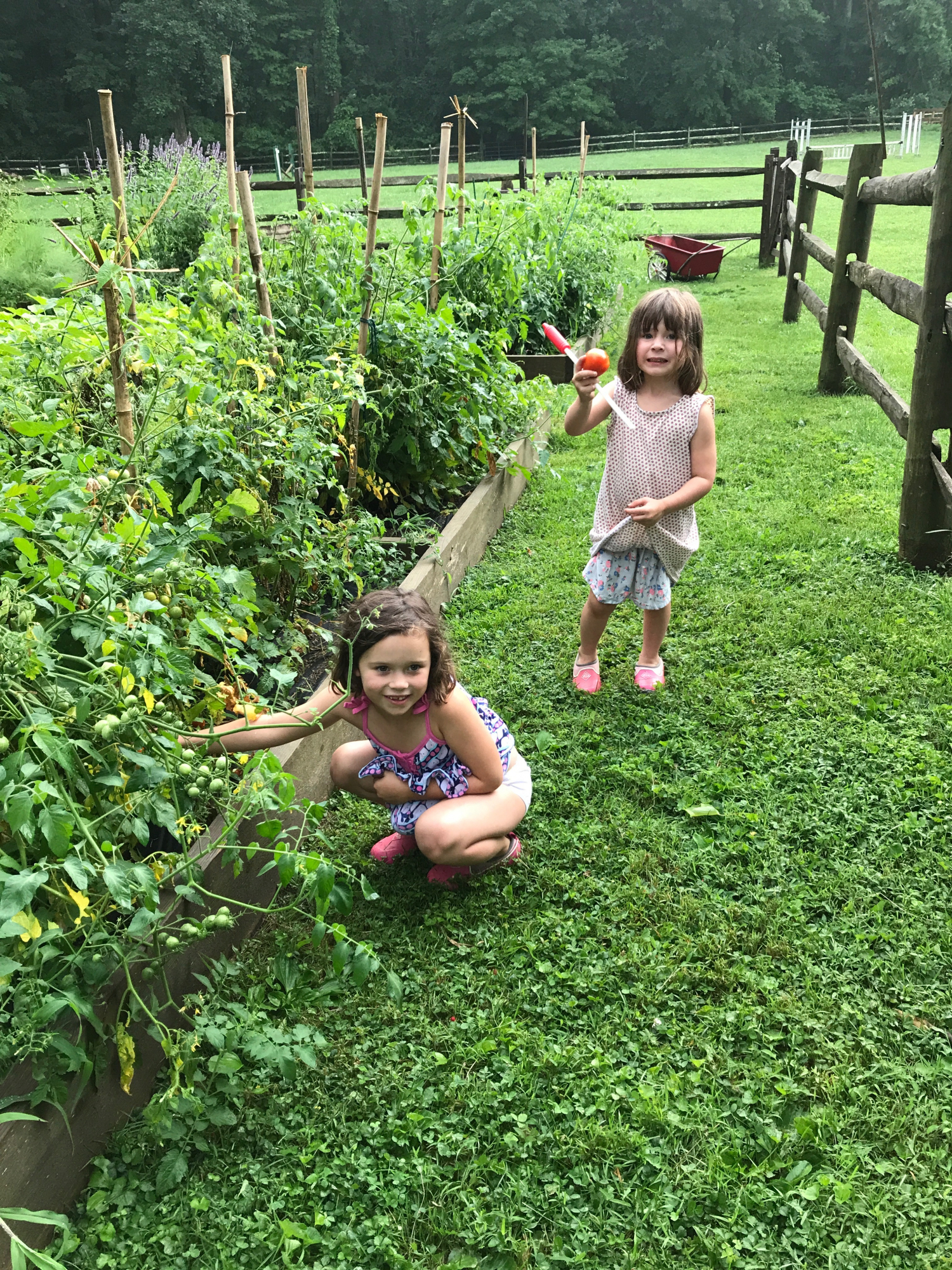 Two of the Etherington children and the vegetable garden at Rooster Run Farm.