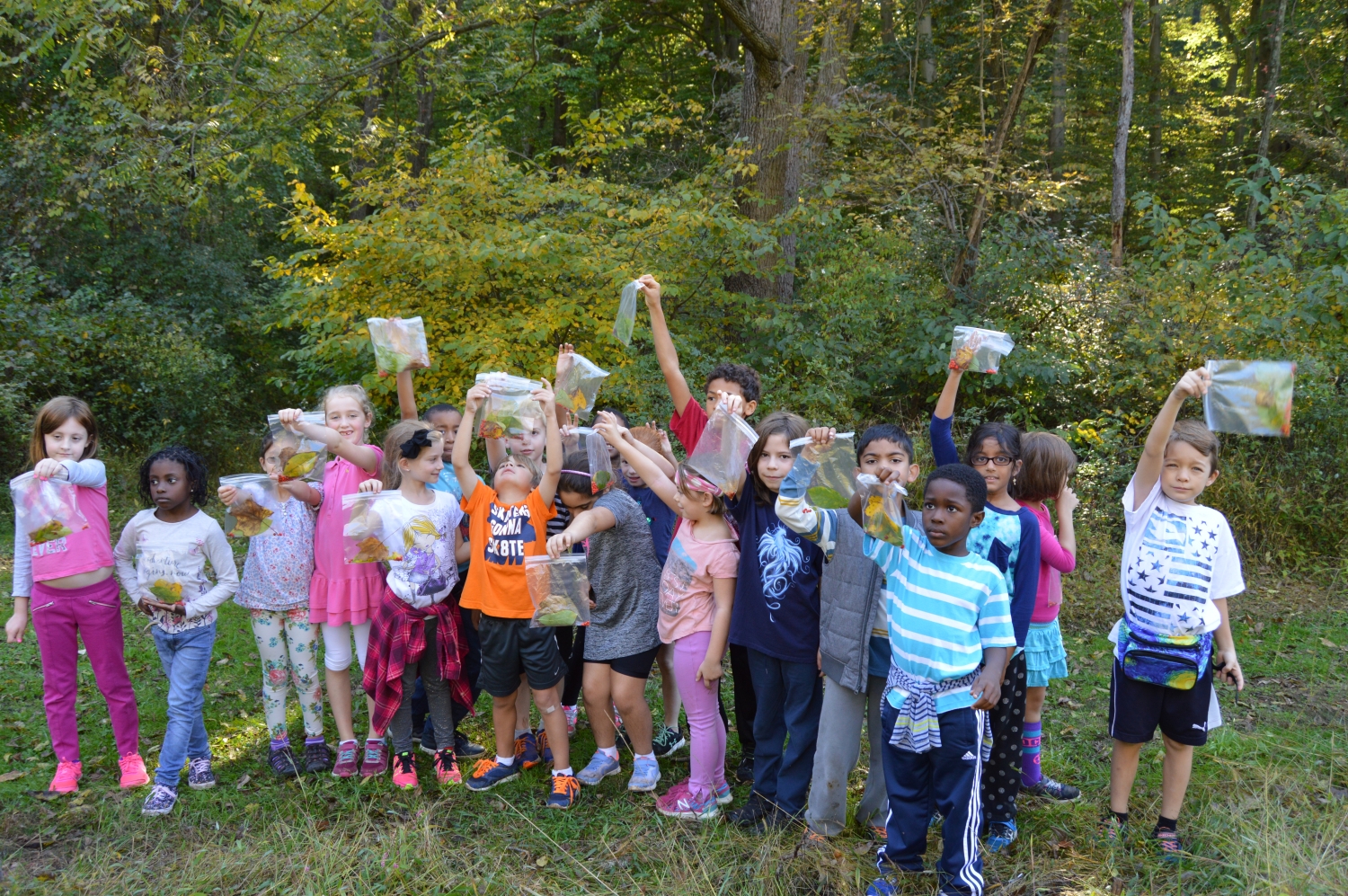 Collecting fruits and seeds at Rushton - it's bird food!