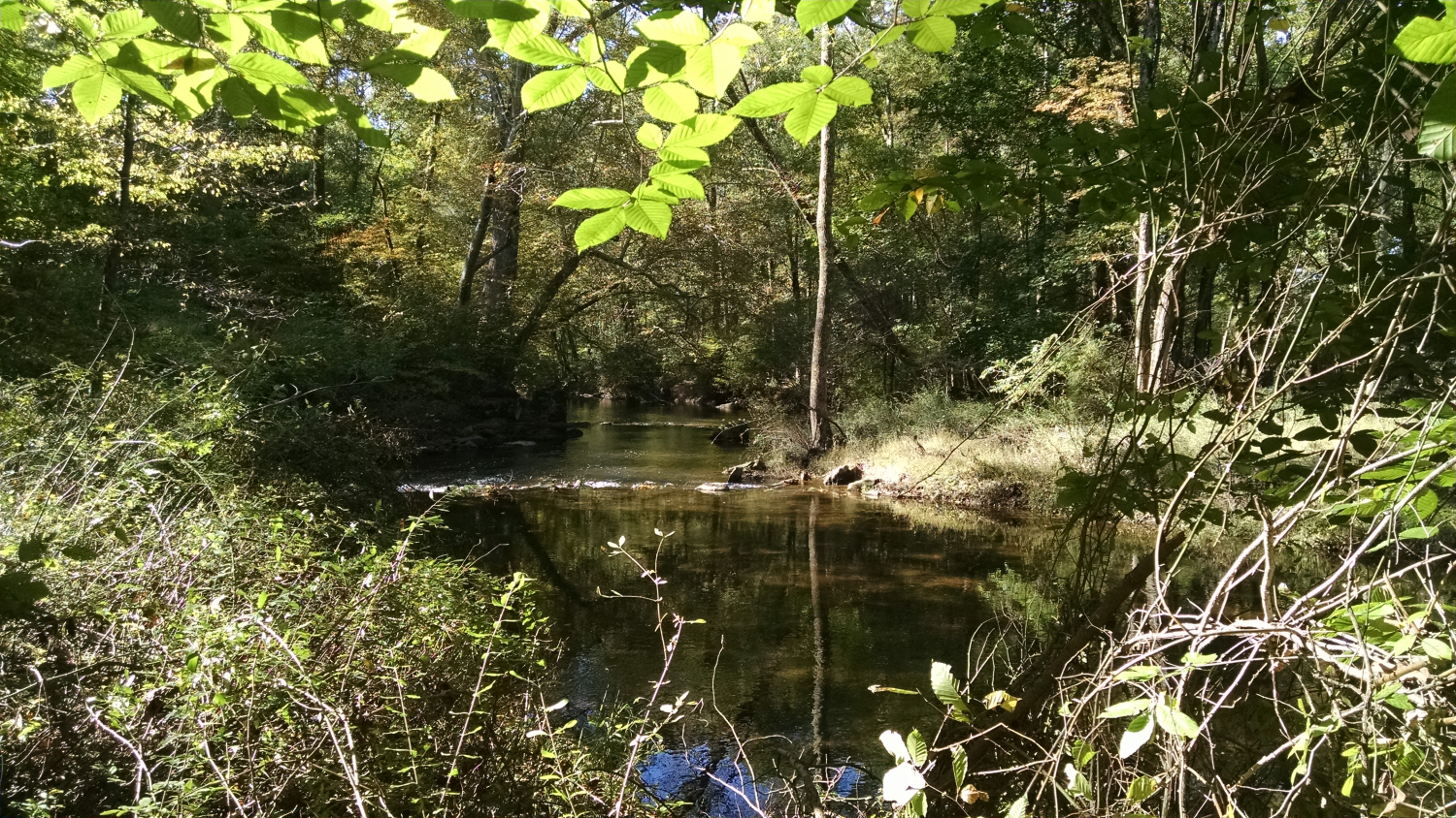 An additional 780 feet of the Crum Creek are protected forever.