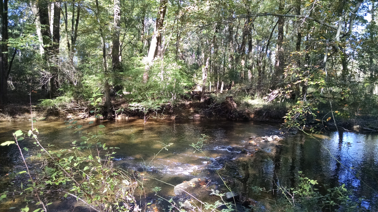 Another view of the newly protected stretch of creek.