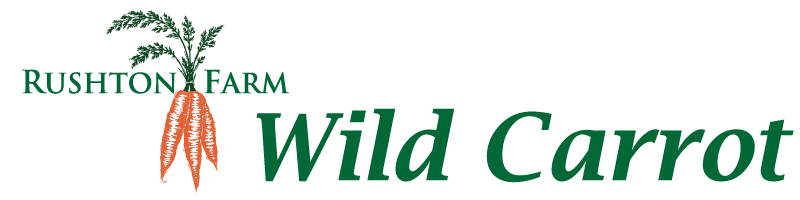 Wild Carrot Logo