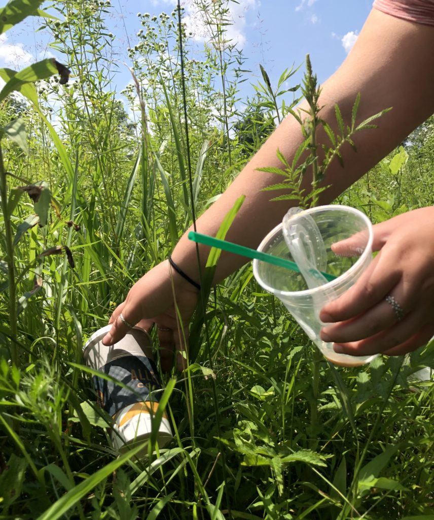 How to Safely Pick Up Plastic Litter