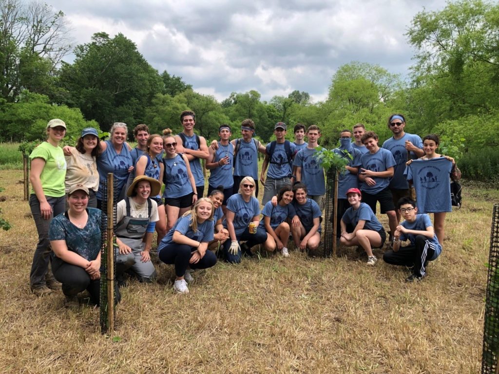 New Trees Breathe New Life into Ailing Streamside Meadow