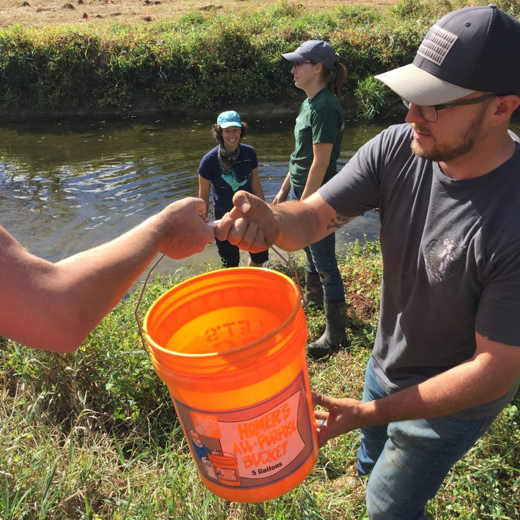 Willistown Conservation Trust Receives William Penn Foundation Grant to Advance Watershed Protection