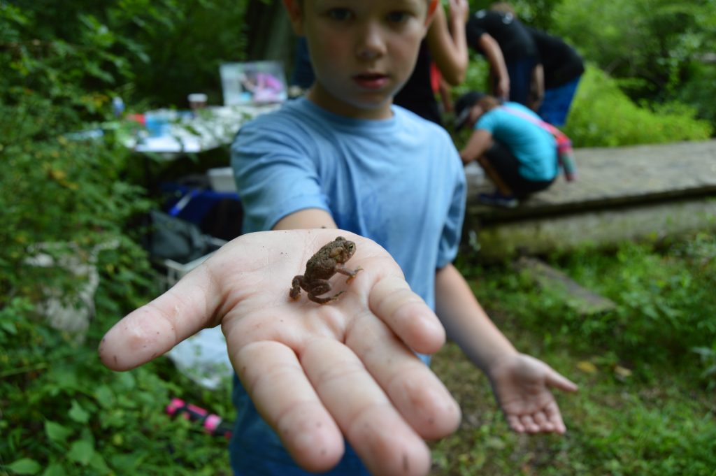 Nature Escapes for Kids:      Building Toad Abodes and Heart Space