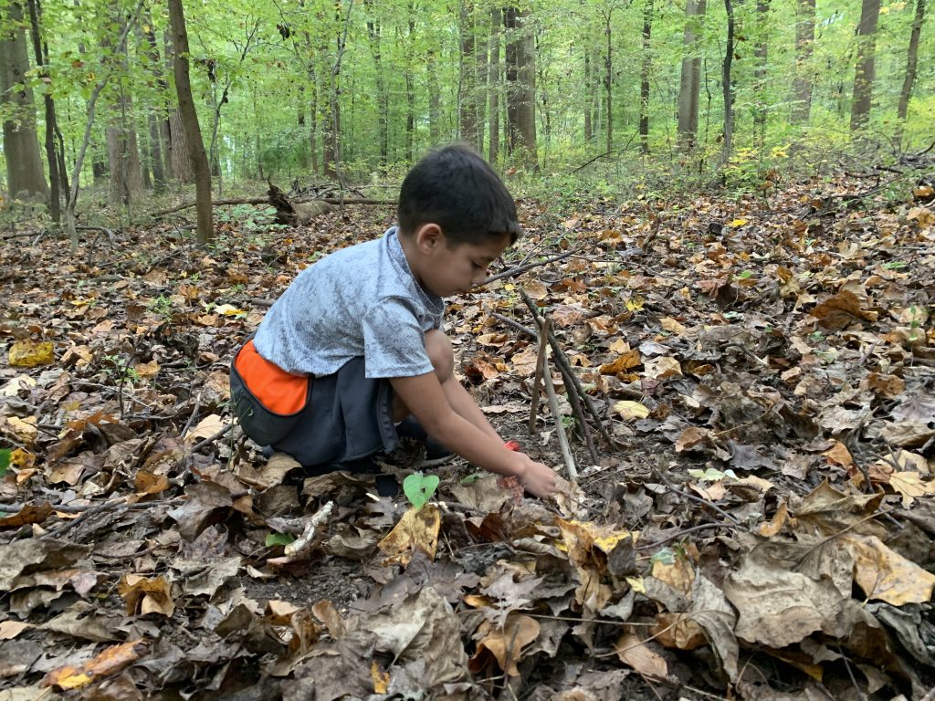 Nature Escapes for Kids: Healing Forest Art Walk