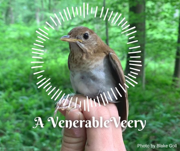 Bird Banding and Annual Visit of Waterloo Region Nature Kids and