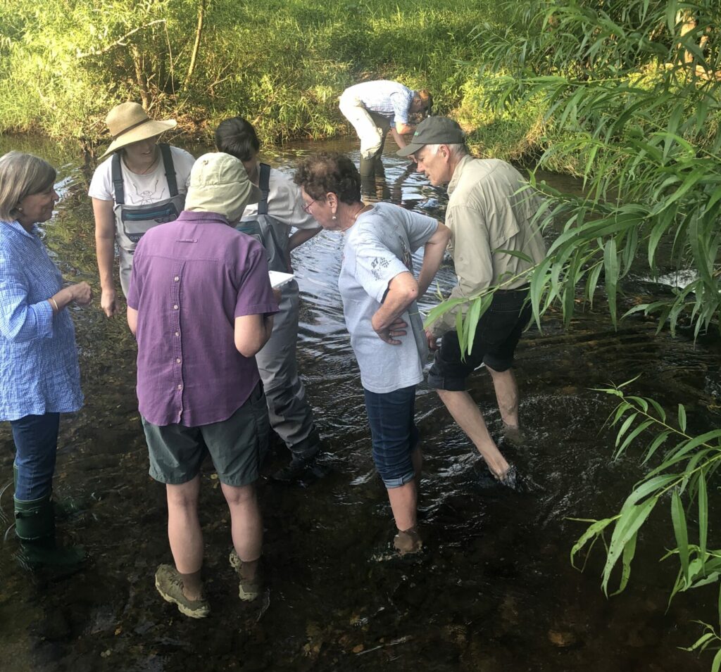 In-stream watershed experience with Watershed Director Lauren McGrath

