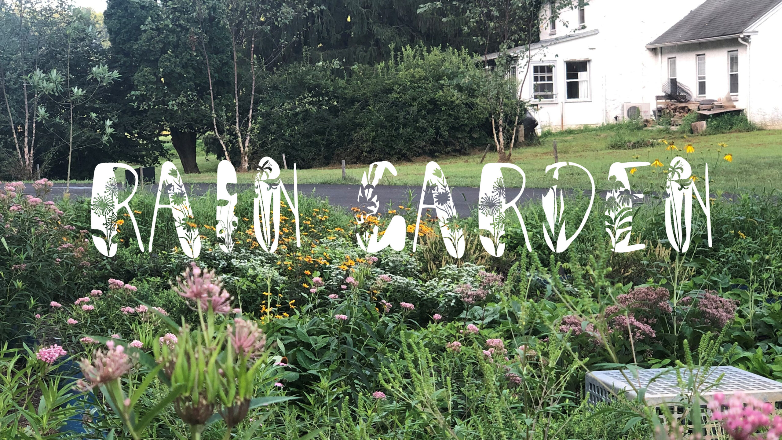 Rain Garden Header