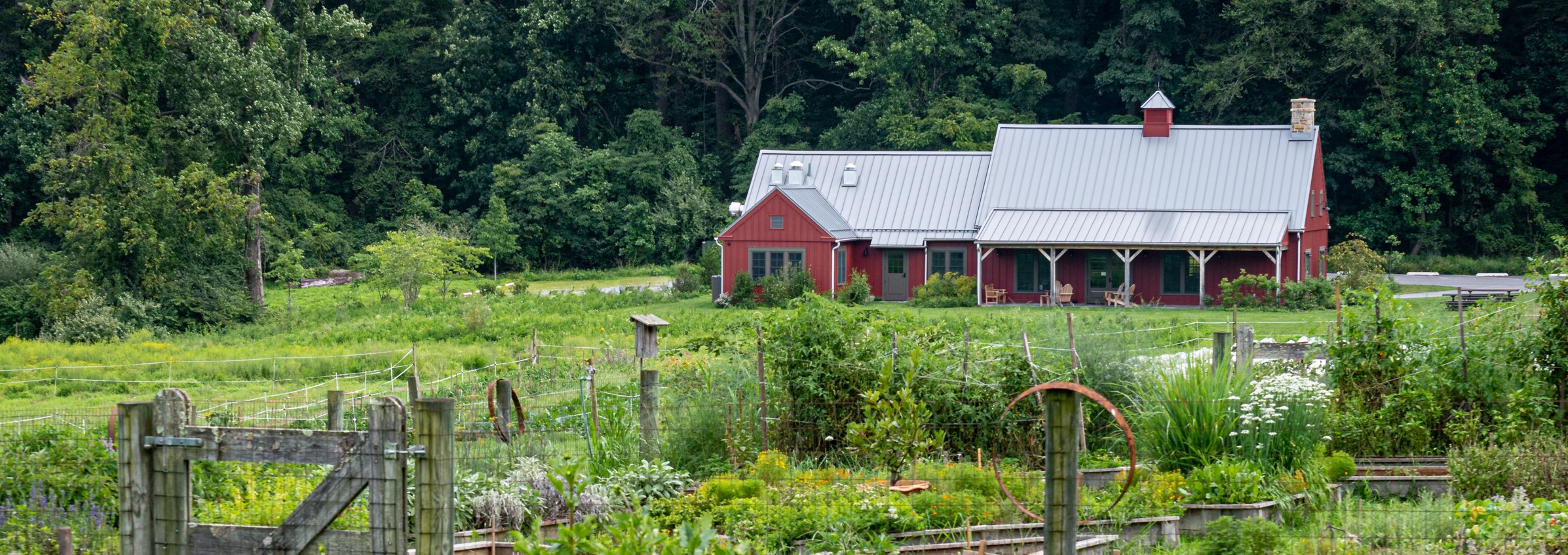 2020_08-Rushton Farms conservation center3657 - Cropped