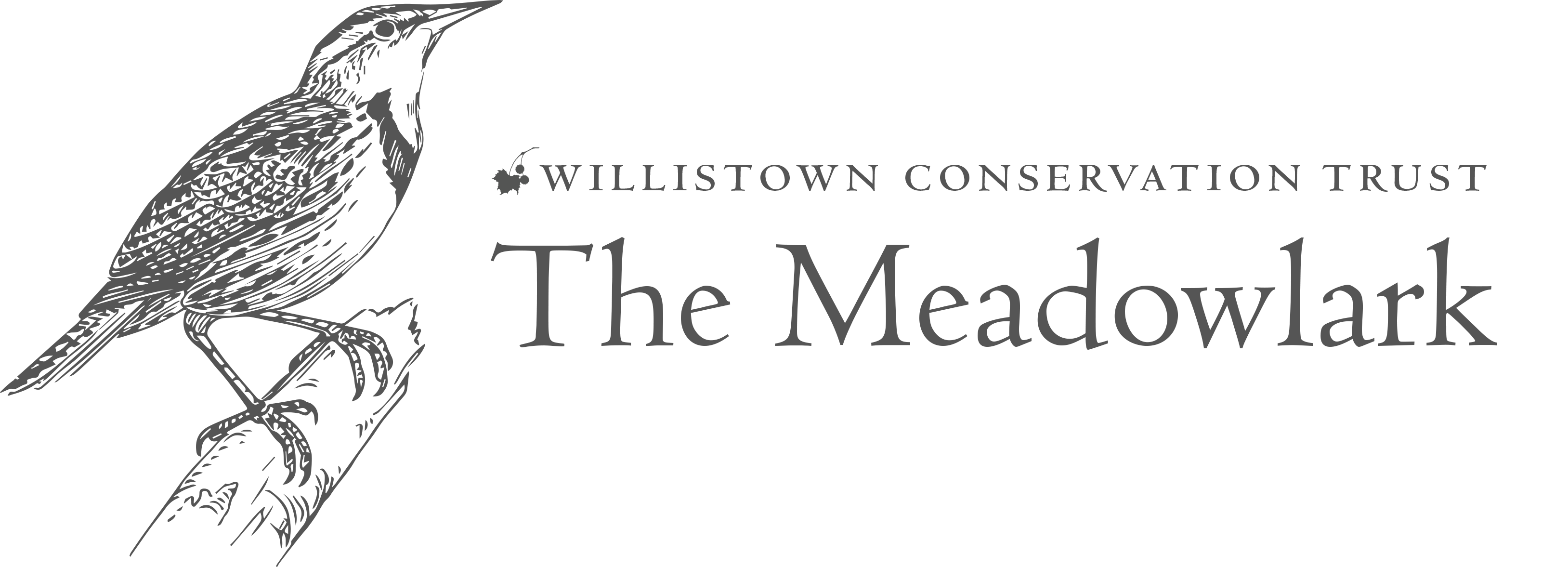 2020 Meadowlark Newsletter Graphic