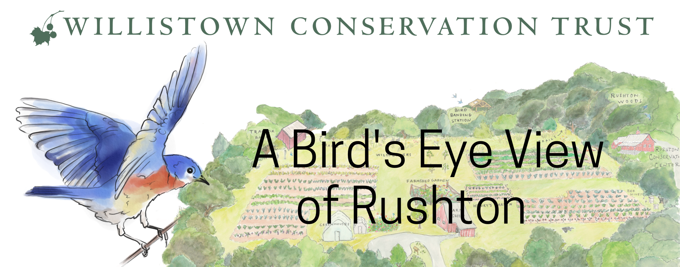 Bird's Eye View of Rushton WCT Newsletter