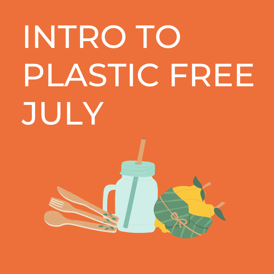 Intro to Plastic Free July