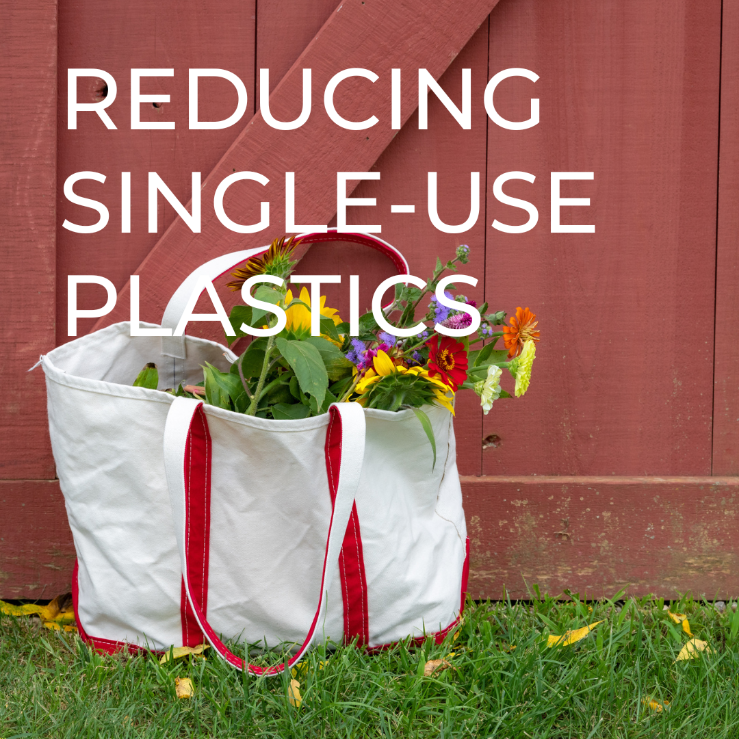 Reducing Single-Use Plastic