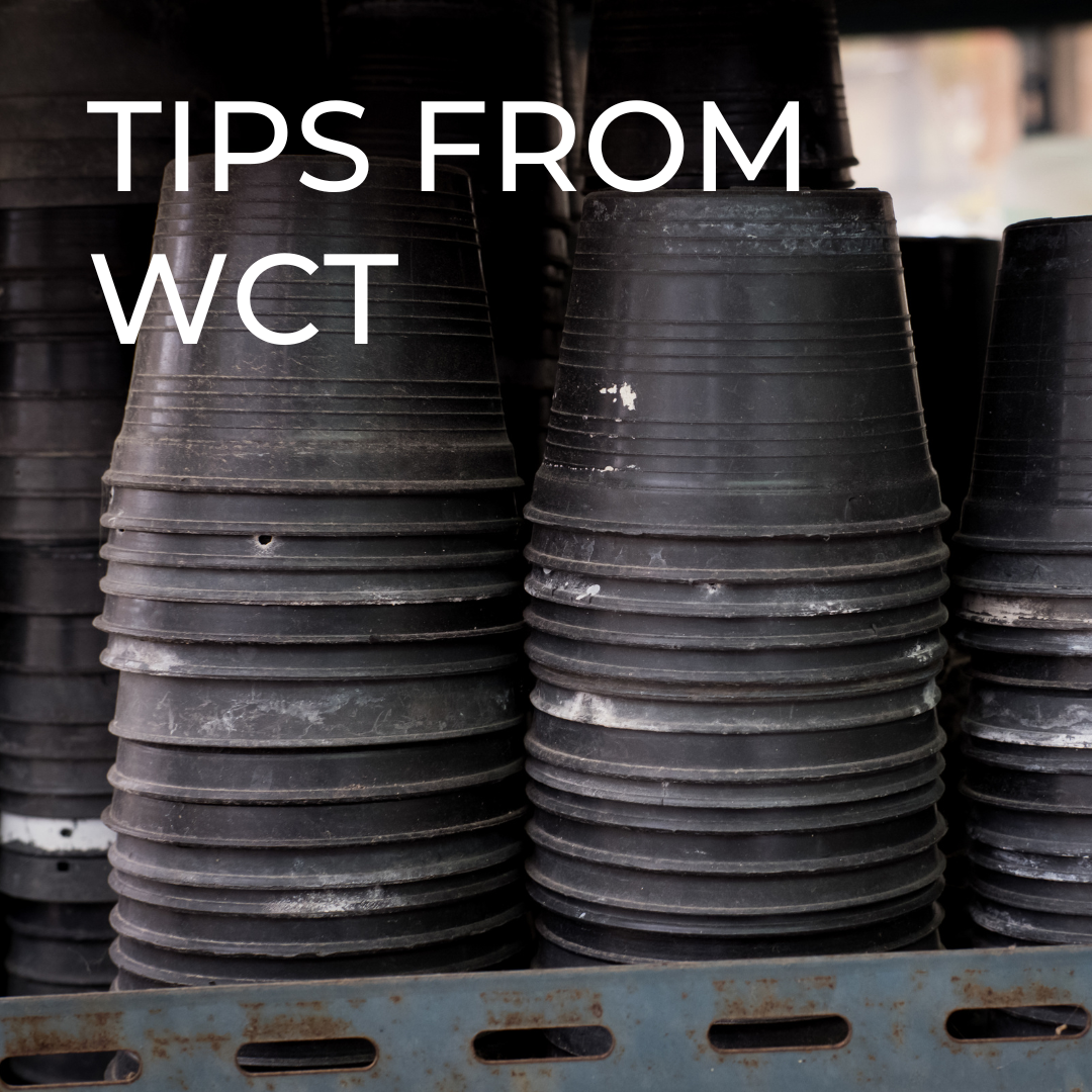 Tips from WCT