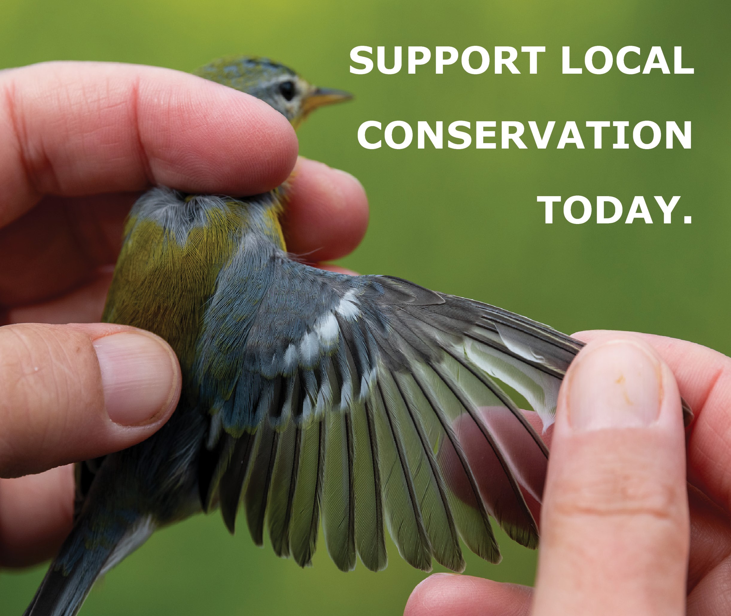 Support Local Conservation Today