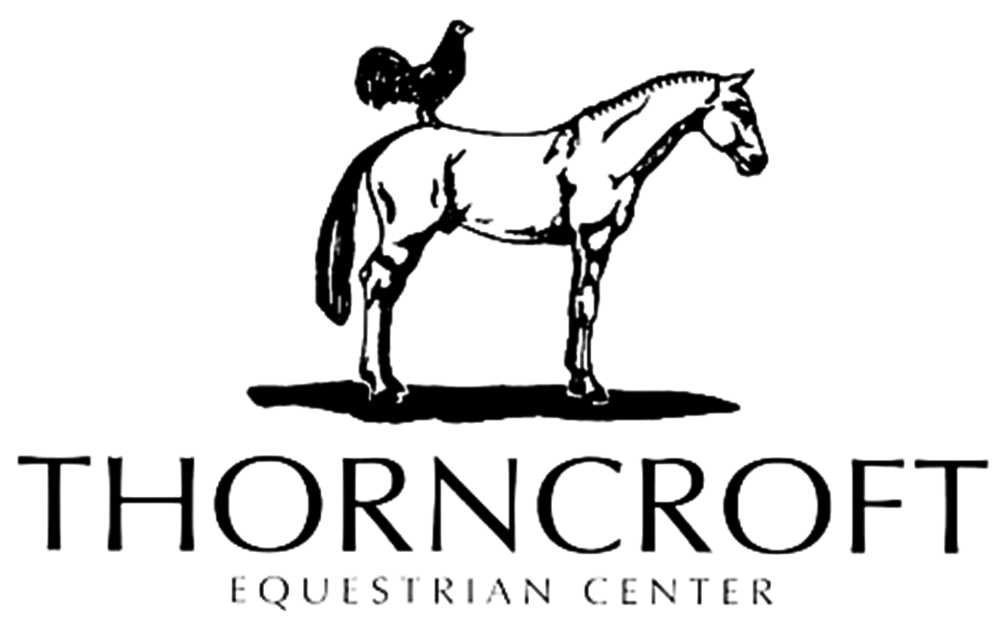 TEC logo Black Png