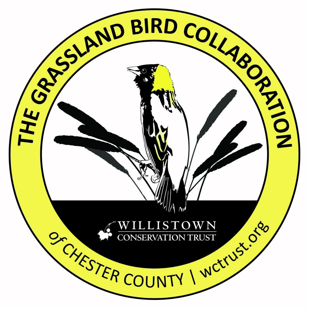 Grassland Bird Logo_with WCT website