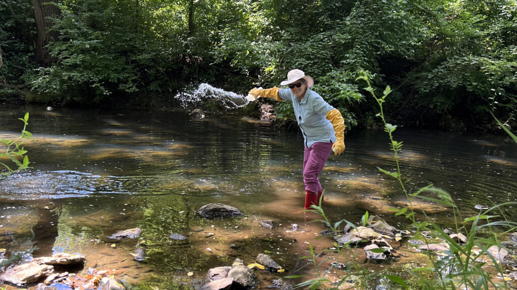 Insights from Two Years of Community Science Monitoring in Darby Creek