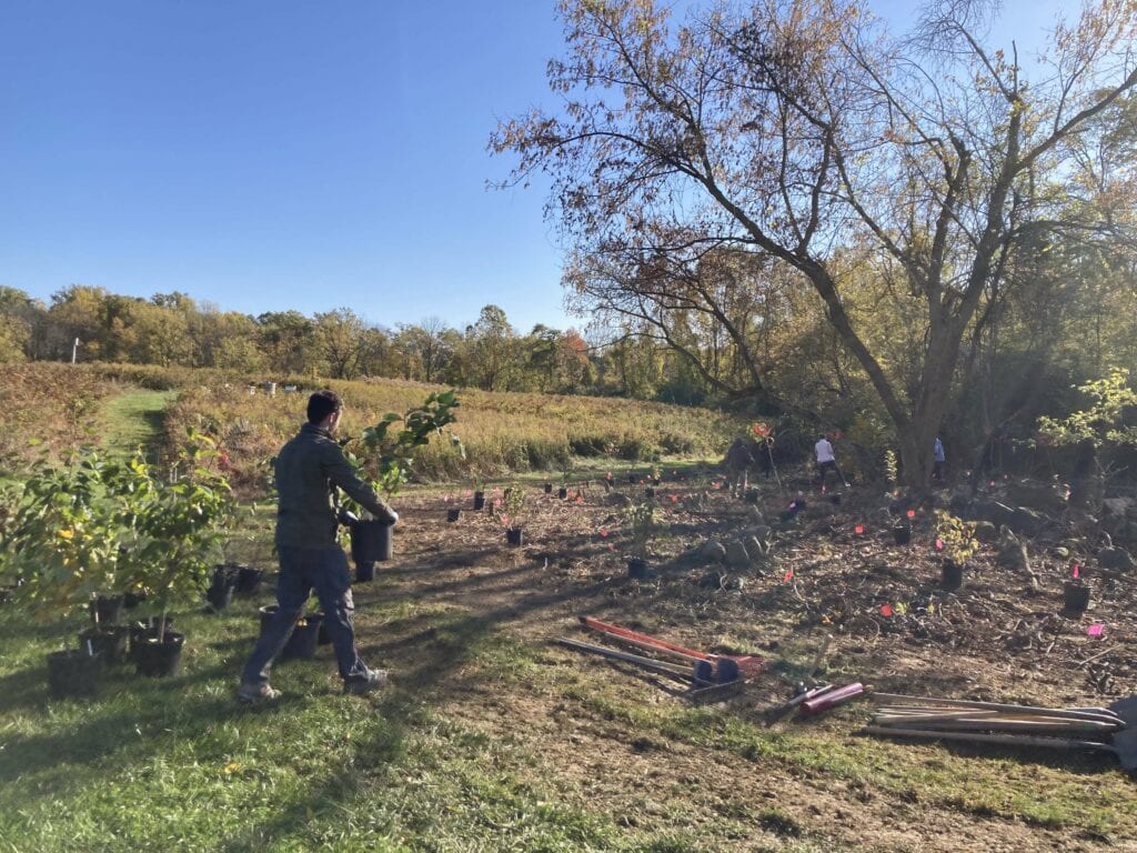 Restoring Rushton’s Shrub-Scrub for the Benefit of the Birds