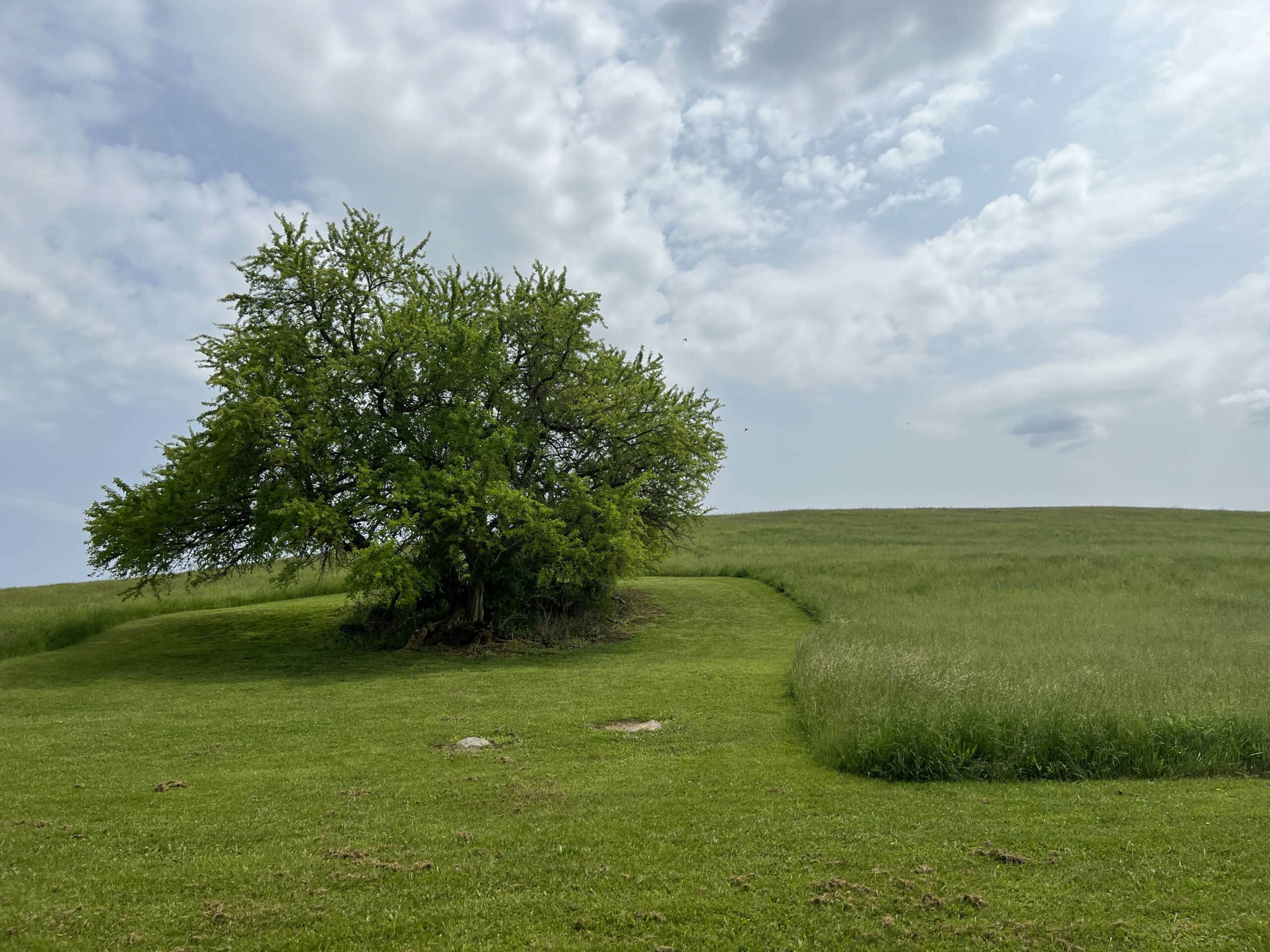 The future preserve boasts rolling hills and grasslands