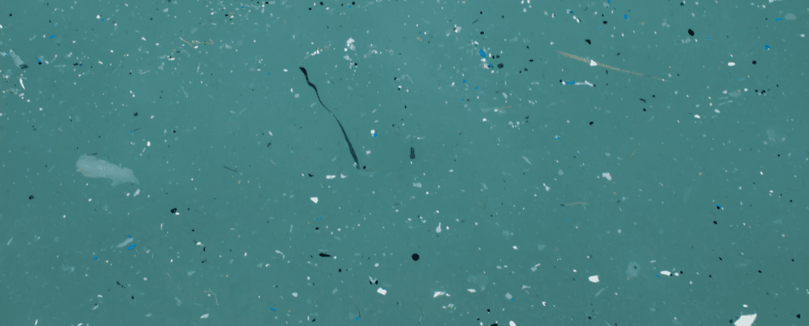 PolyGone Systems | Eliminating Plastic from our Waterways at Ashbridge Preserve