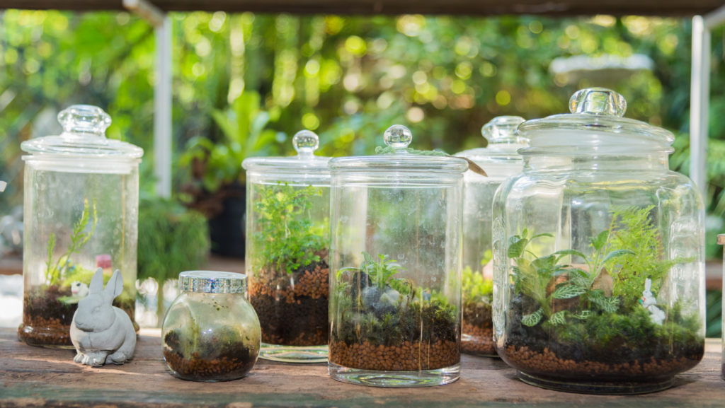 How do I make this jar airtight? : r/terrariums