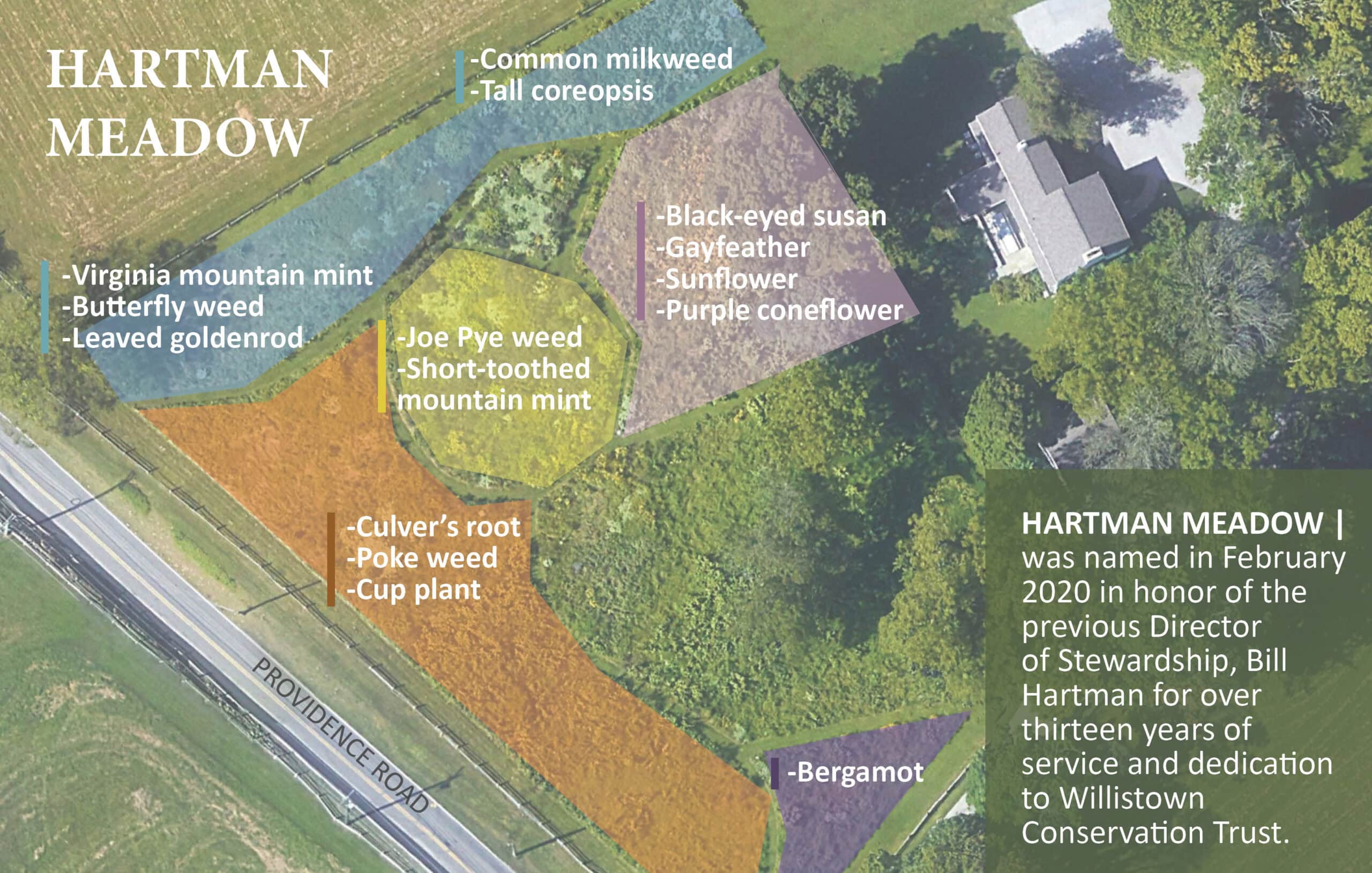 Hartman Meadow Plantings