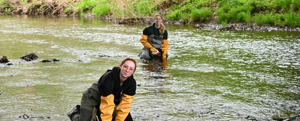 Water You Waiting For? Dive into Macroinvertebrates and Stream Health