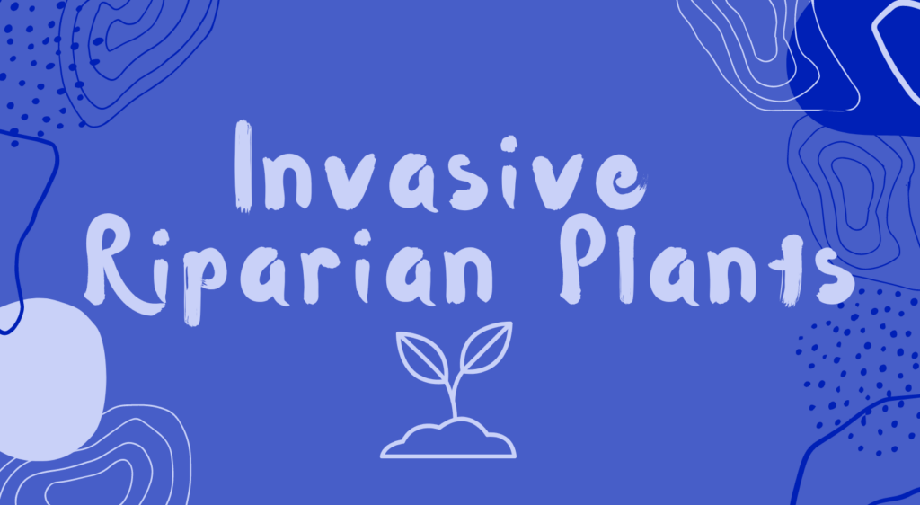 Creek Week 2024: Invasive Riparian Plants