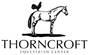 TEC logo Black Png