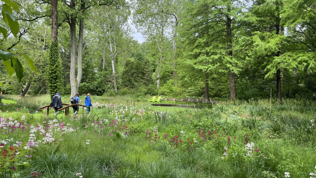 Gardening for Cleaner Water