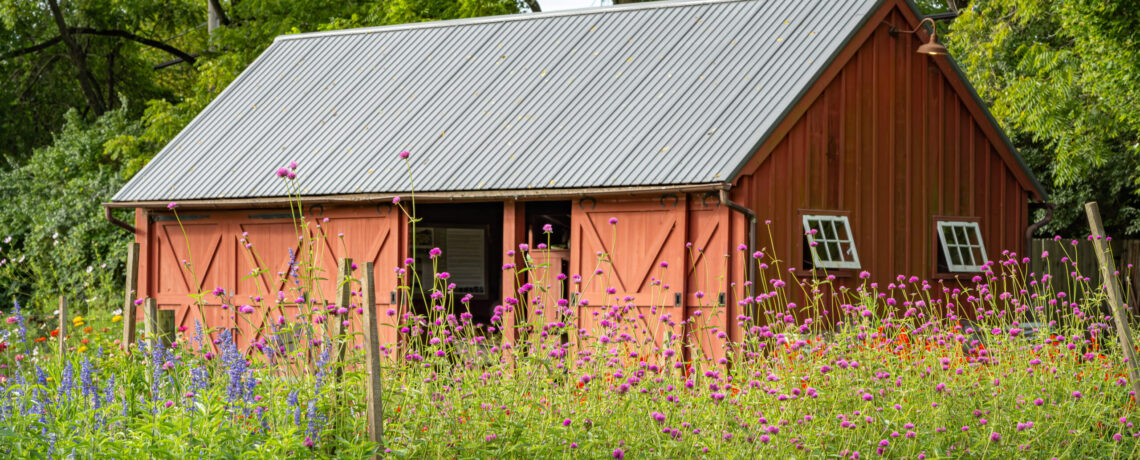 Rushton Farm: A Recipe for Change