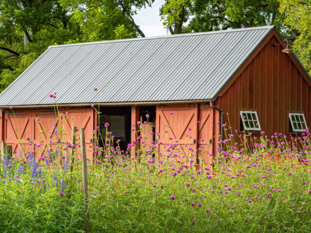 Rushton Farm: A Recipe for Change