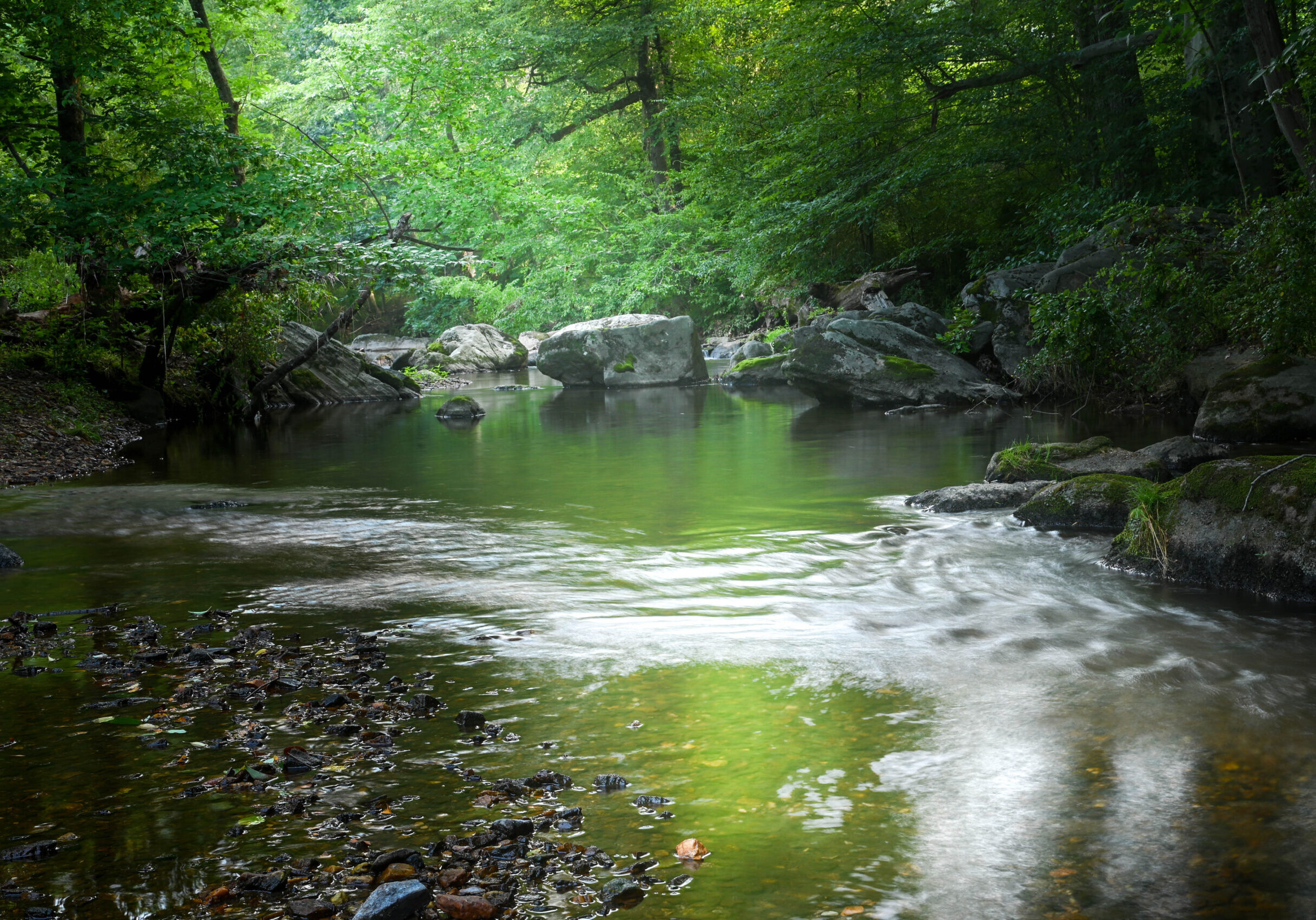 Hidden Pool