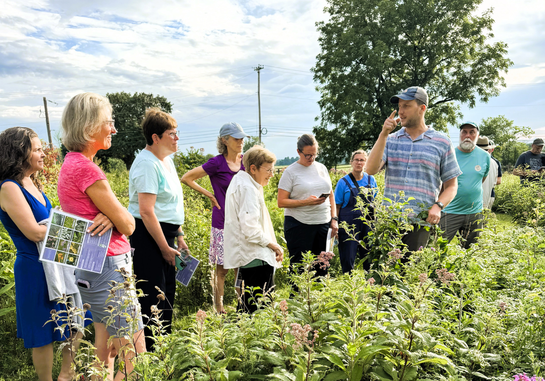 Previous ECOcentric Experience: Walking in a Native Meadow