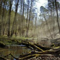 forest-watershed grant